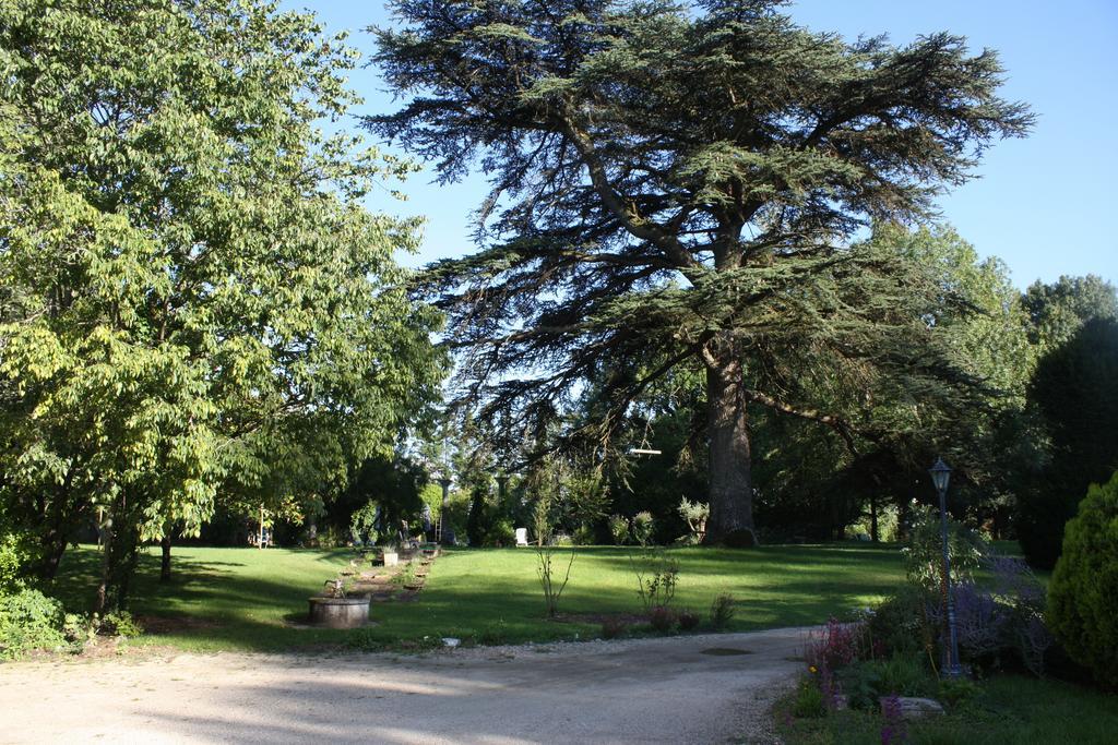 Chateau Castelrives Bessières Oda fotoğraf
