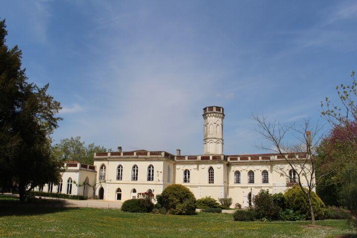 Chateau Castelrives Bessières Dış mekan fotoğraf